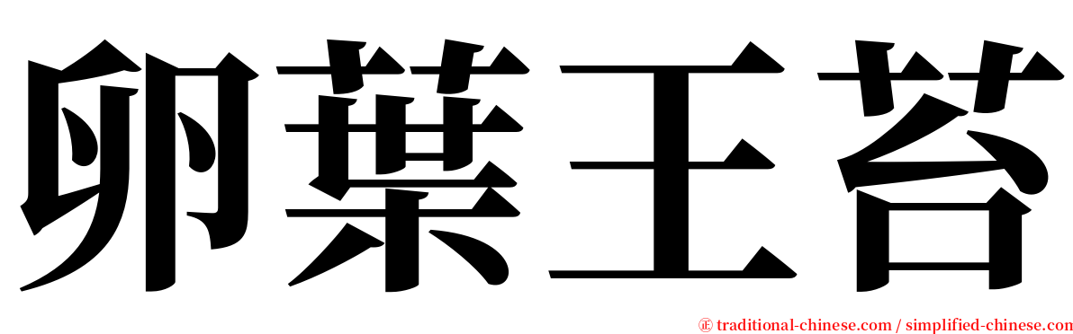 卵葉王苔 serif font