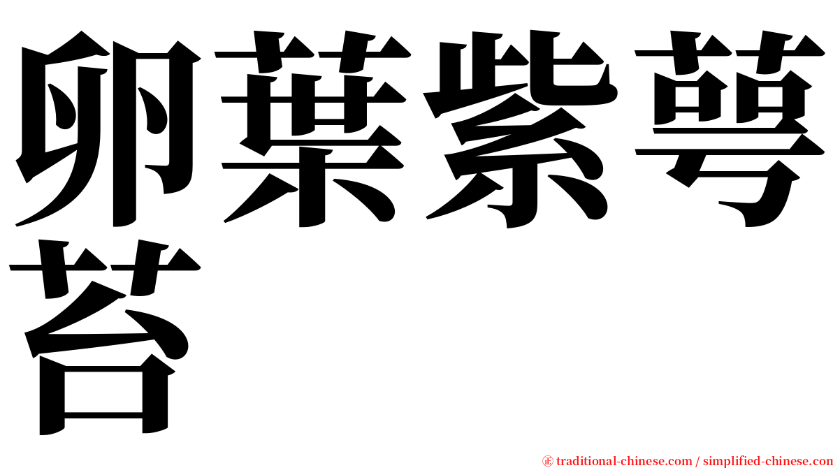 卵葉紫萼苔 serif font