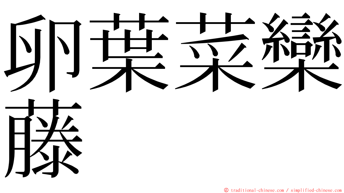 卵葉菜欒藤 ming font