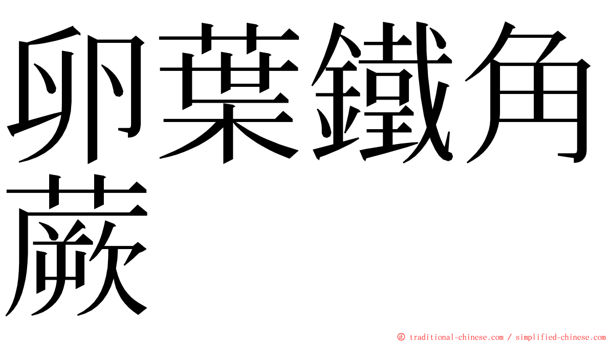 卵葉鐵角蕨 ming font