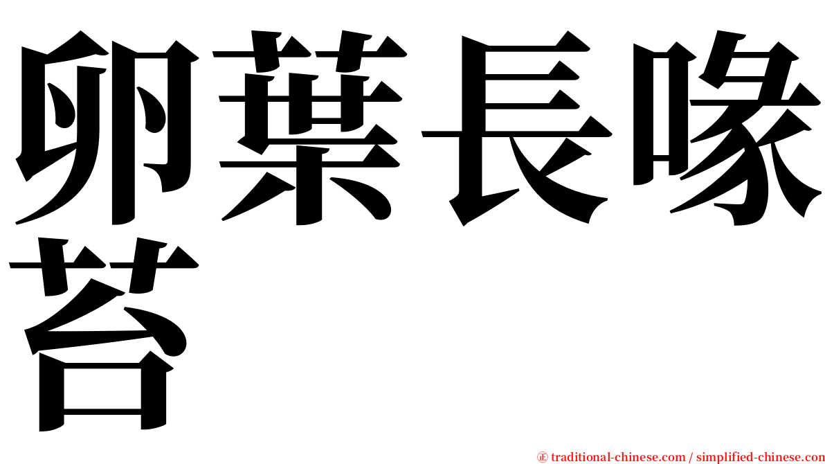 卵葉長喙苔 serif font