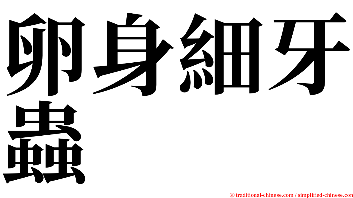 卵身細牙蟲 serif font