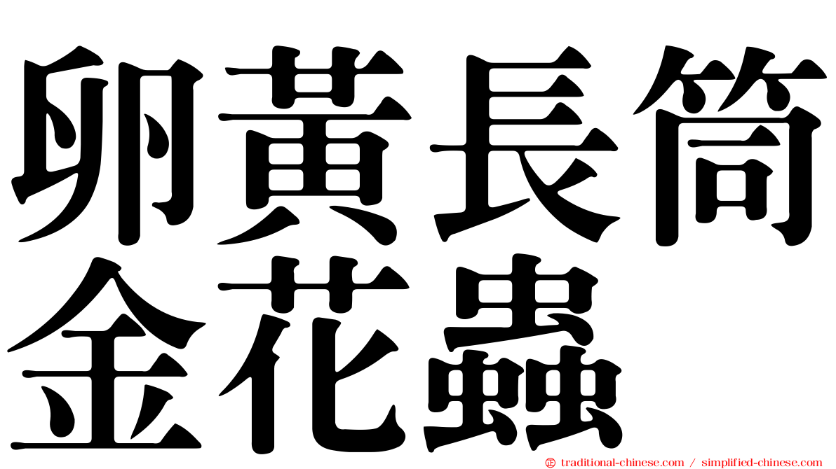 卵黃長筒金花蟲