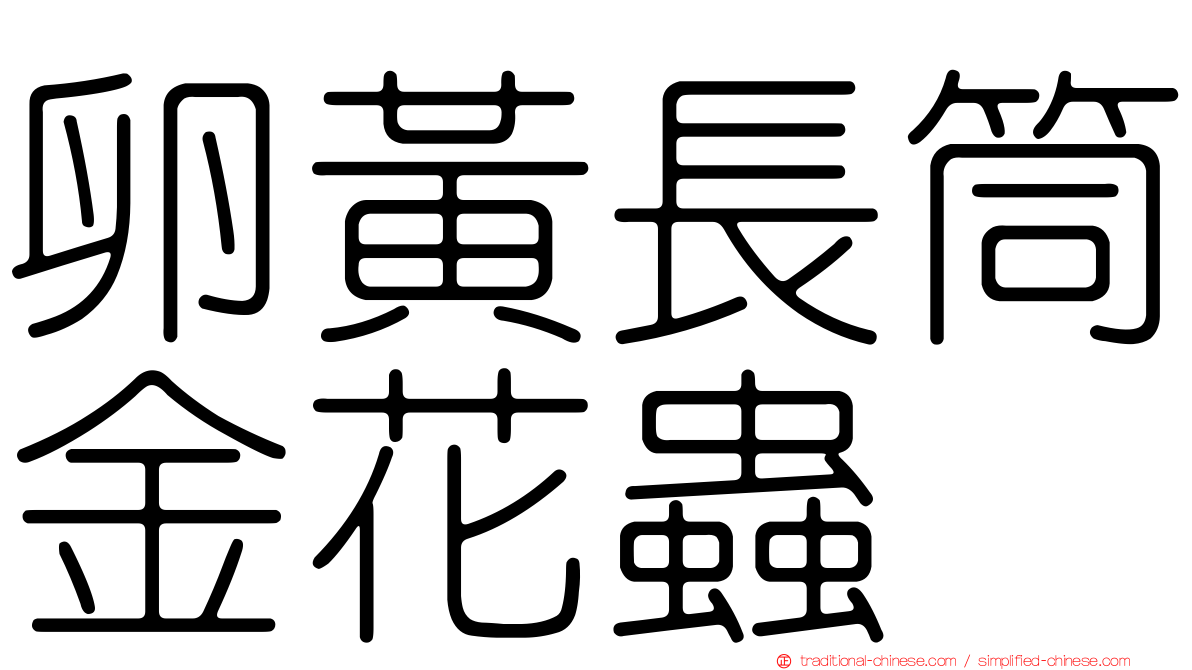 卵黃長筒金花蟲