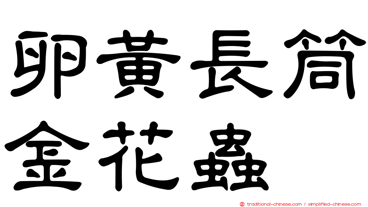 卵黃長筒金花蟲