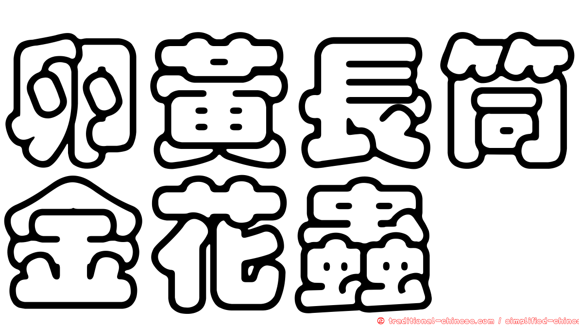 卵黃長筒金花蟲
