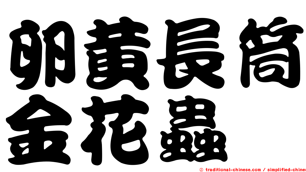 卵黃長筒金花蟲