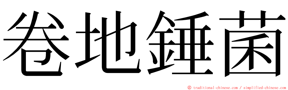 卷地錘菌 ming font