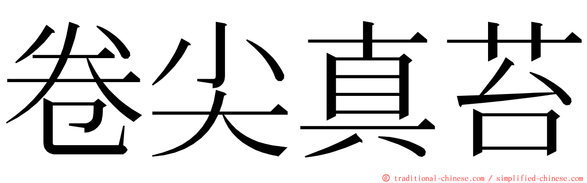 卷尖真苔 ming font