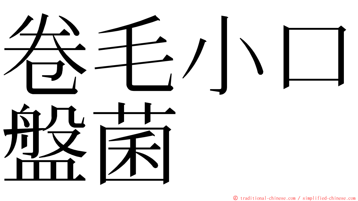 卷毛小口盤菌 ming font