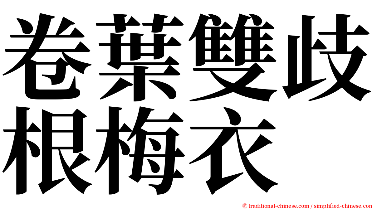 卷葉雙歧根梅衣 serif font