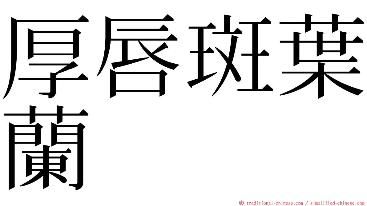 厚唇斑葉蘭 ming font
