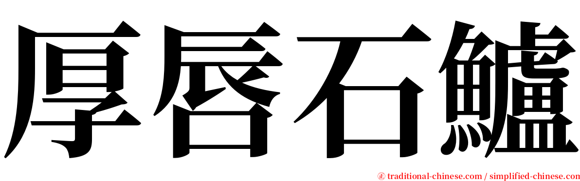 厚唇石鱸 serif font