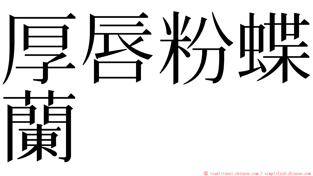 厚唇粉蝶蘭 ming font