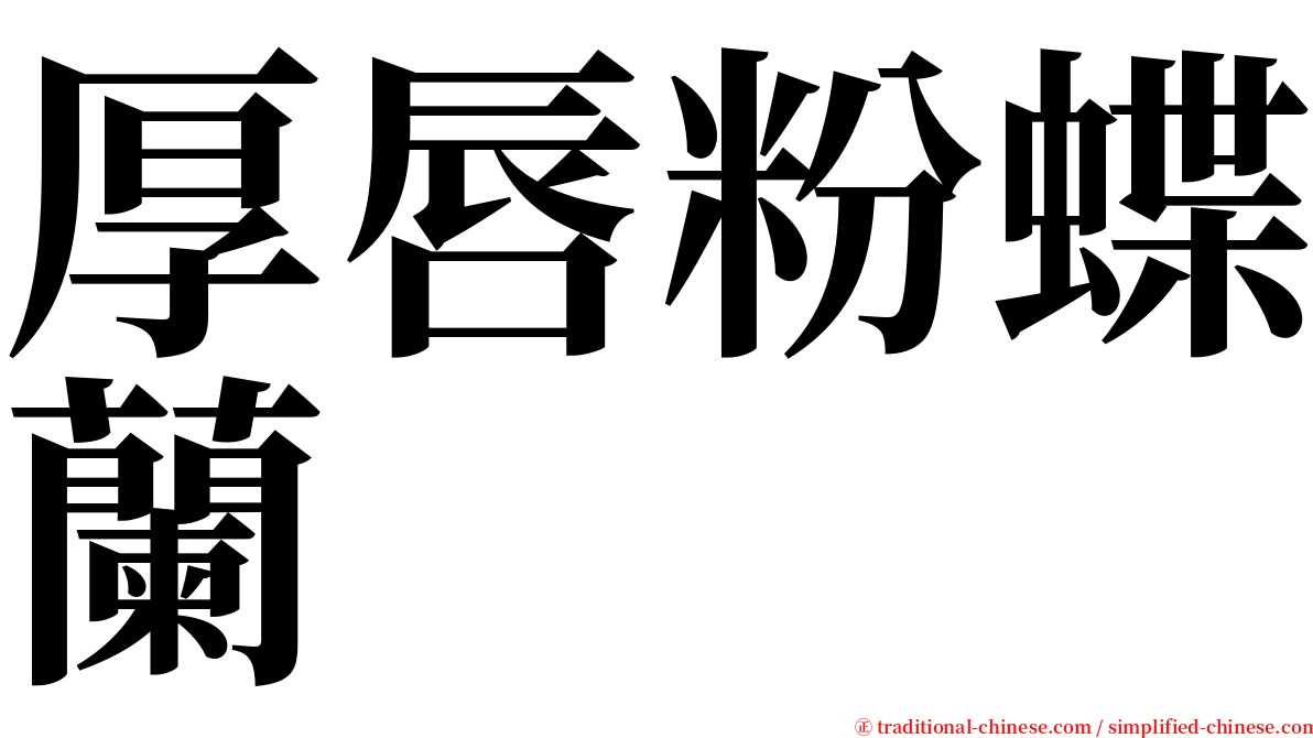 厚唇粉蝶蘭 serif font