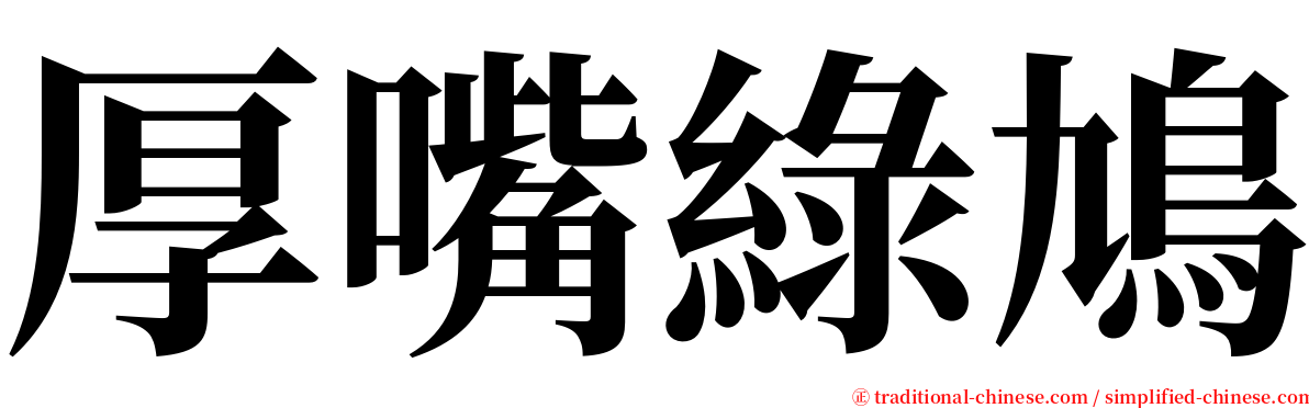 厚嘴綠鳩 serif font