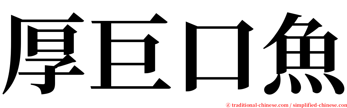 厚巨口魚 serif font