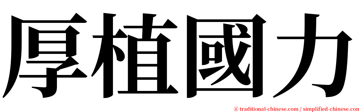 厚植國力 serif font