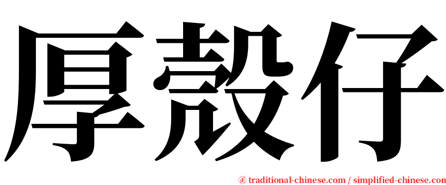 厚殼仔 serif font