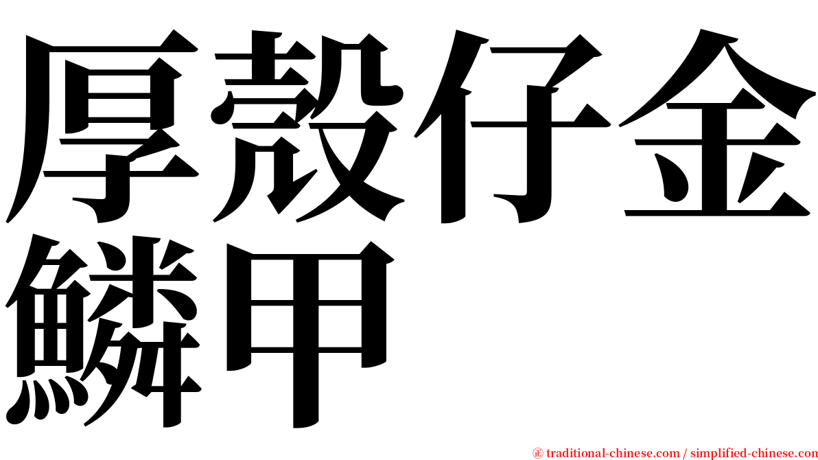 厚殼仔金鱗甲 serif font