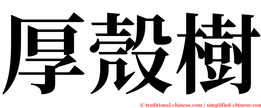 厚殼樹 serif font