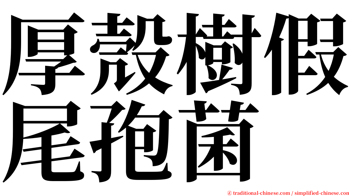 厚殼樹假尾孢菌 serif font