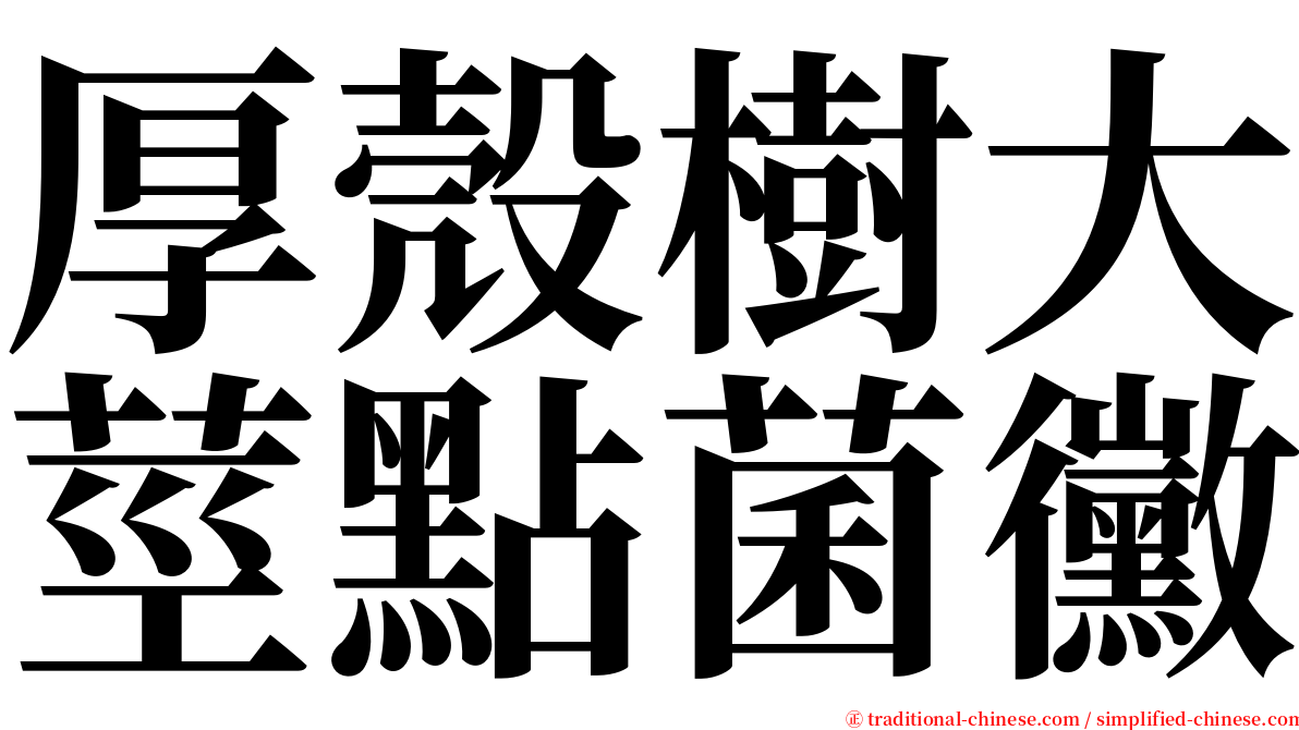 厚殼樹大莖點菌黴 serif font