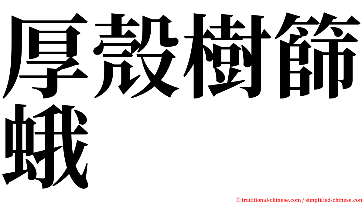 厚殼樹篩蛾 serif font