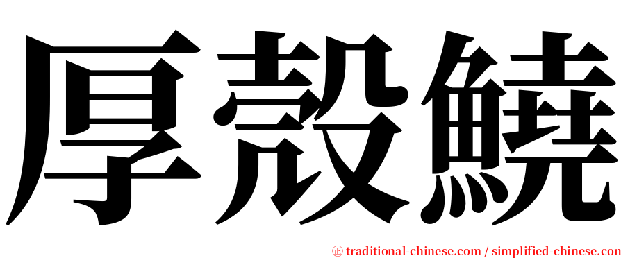 厚殼鱙 serif font