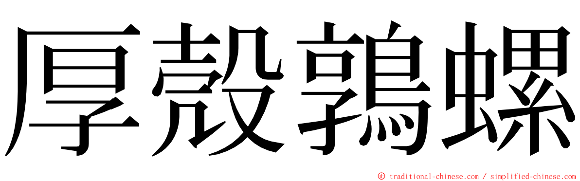 厚殼鶉螺 ming font