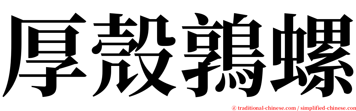 厚殼鶉螺 serif font