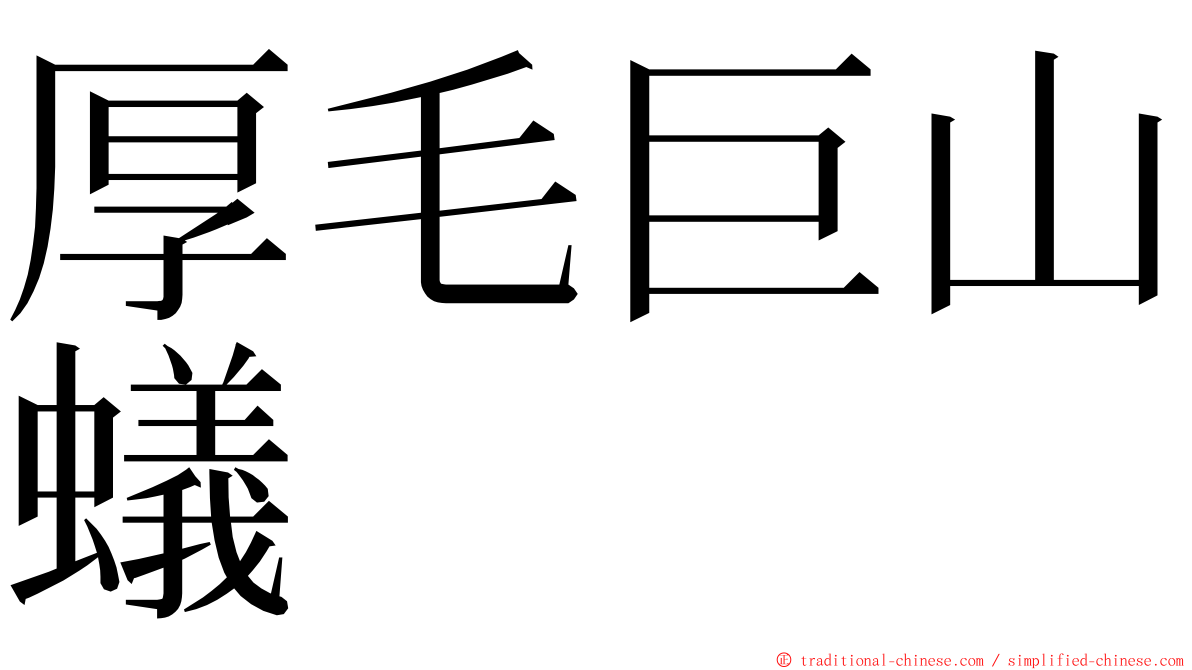 厚毛巨山蟻 ming font