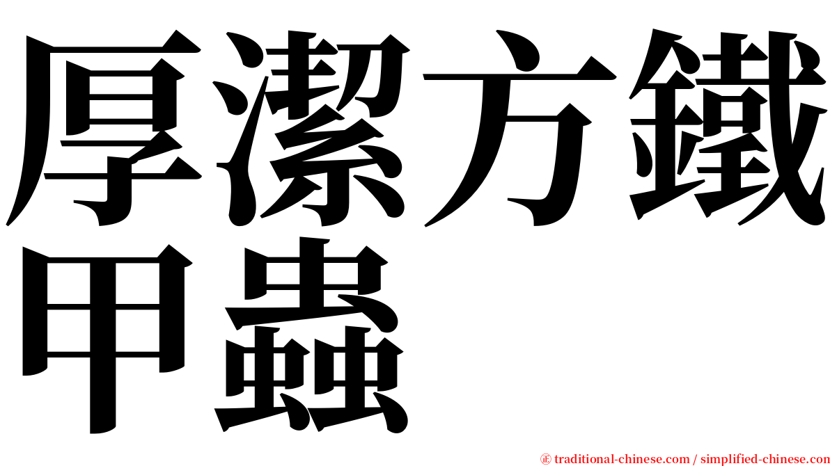 厚潔方鐵甲蟲 serif font