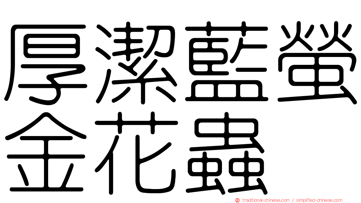 厚潔藍螢金花蟲