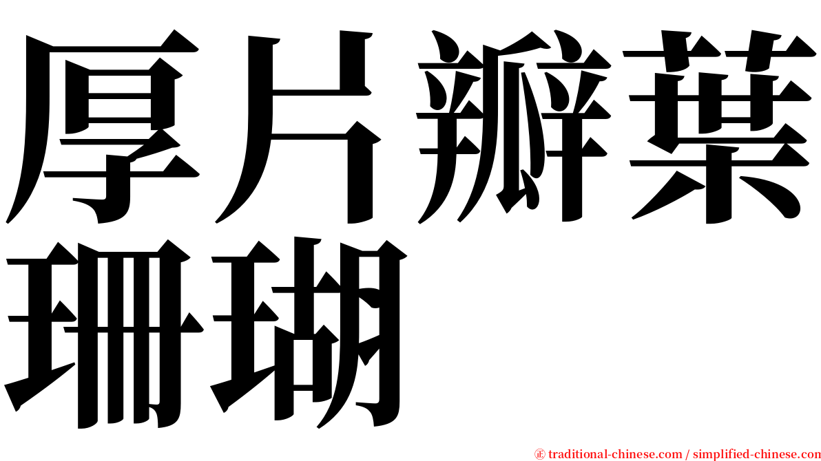 厚片瓣葉珊瑚 serif font