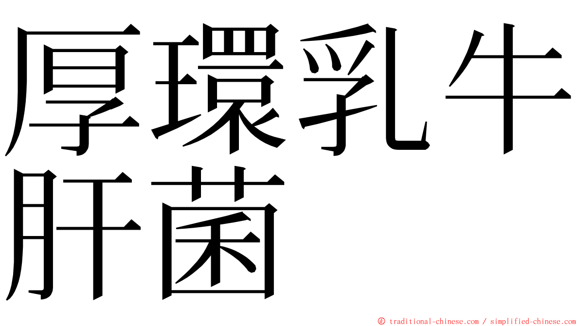 厚環乳牛肝菌 ming font