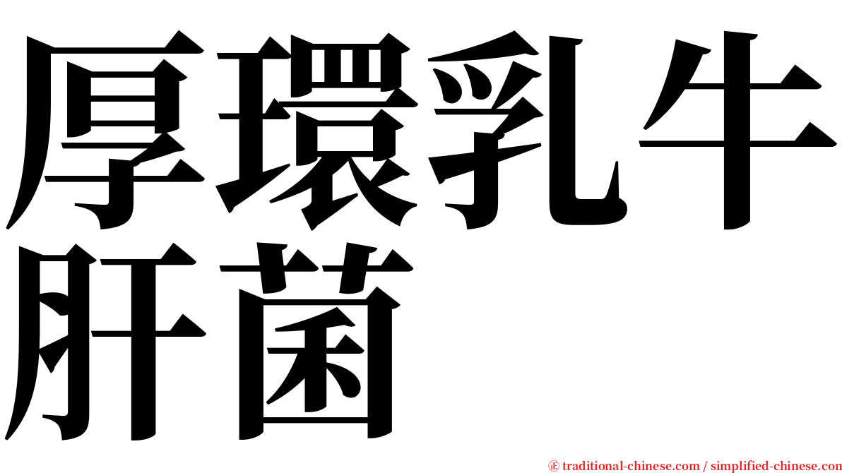 厚環乳牛肝菌 serif font