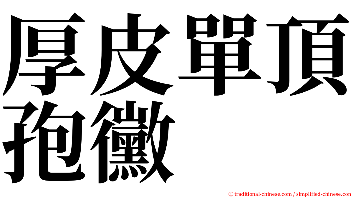 厚皮單頂孢黴 serif font