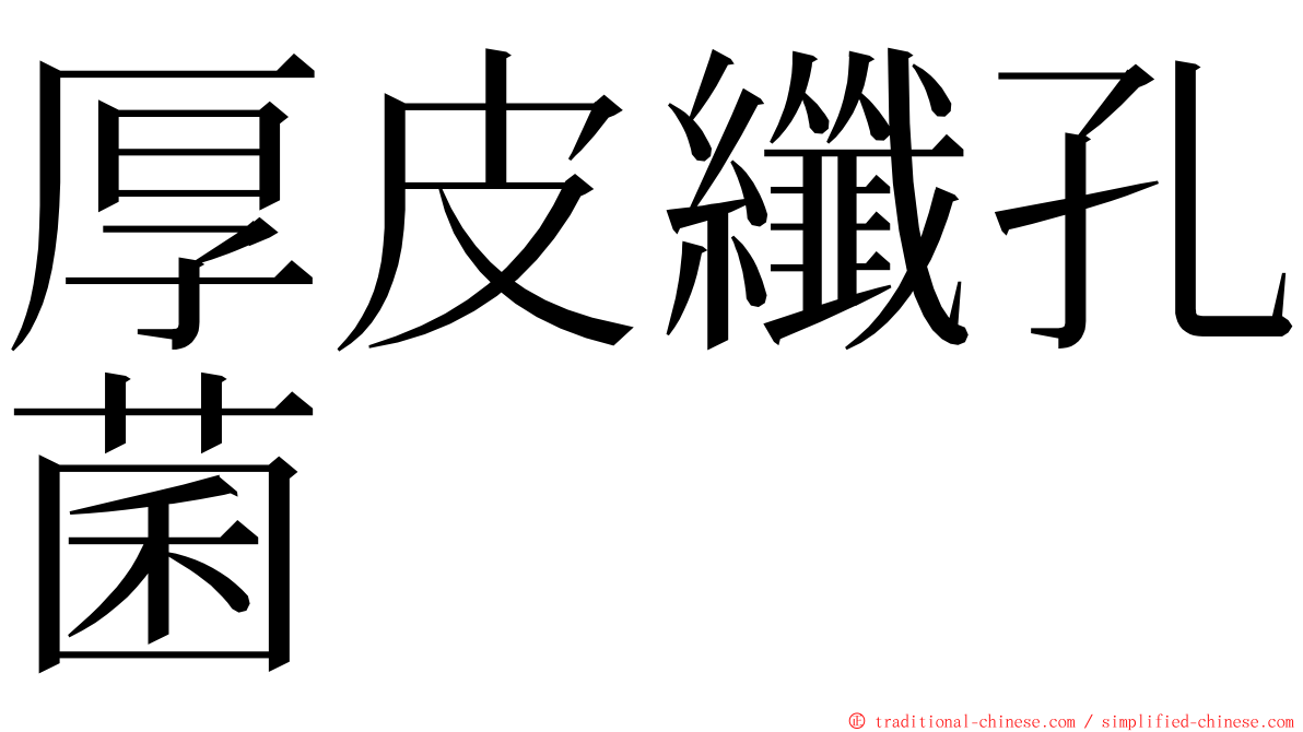 厚皮纖孔菌 ming font