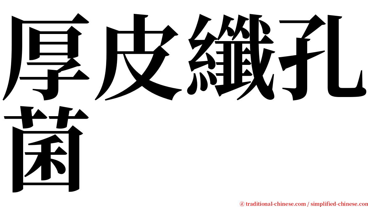 厚皮纖孔菌 serif font