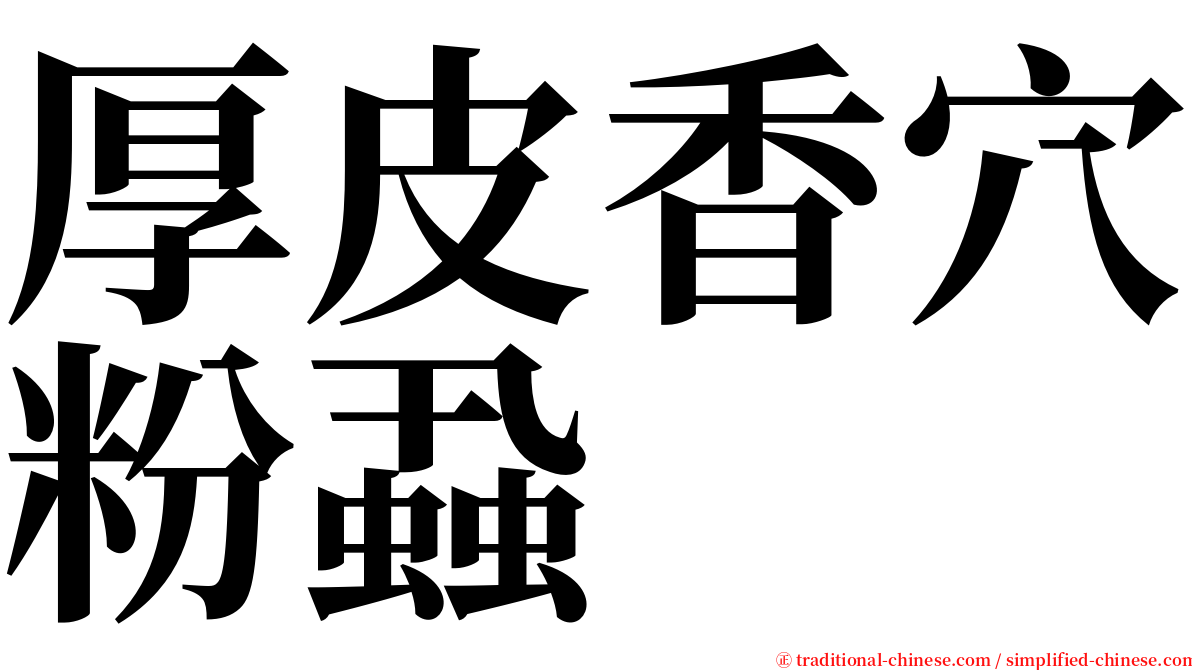 厚皮香穴粉蝨 serif font