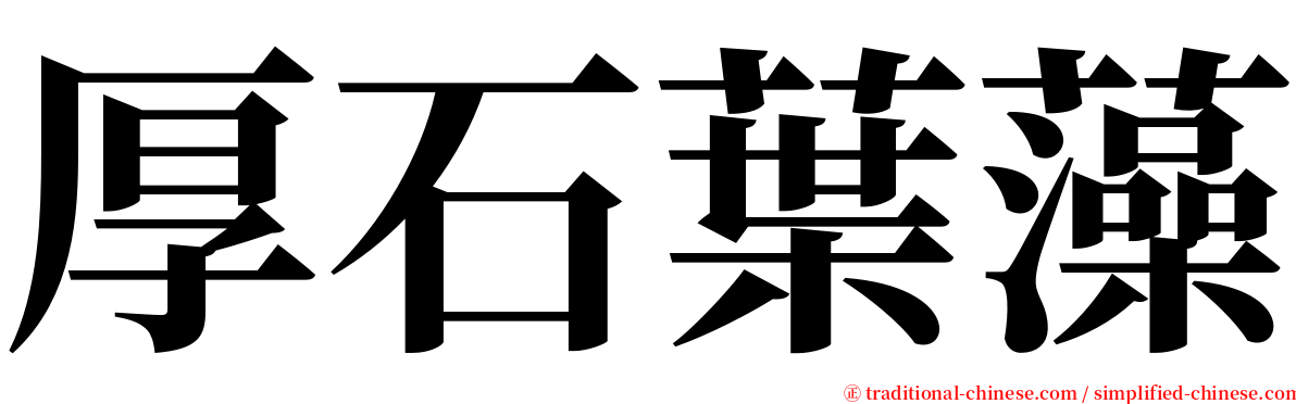 厚石葉藻 serif font