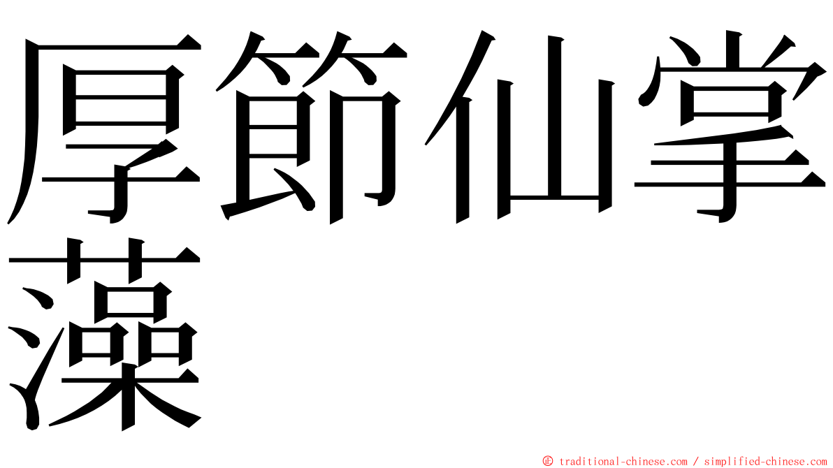 厚節仙掌藻 ming font