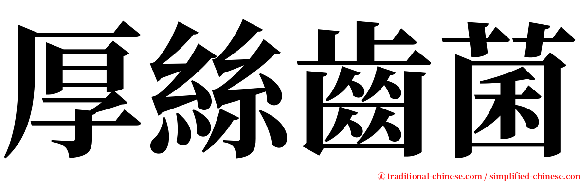 厚絲齒菌 serif font