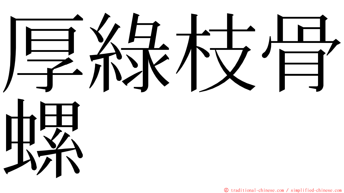 厚綠枝骨螺 ming font