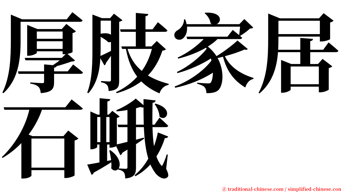 厚肢家居石蛾 serif font