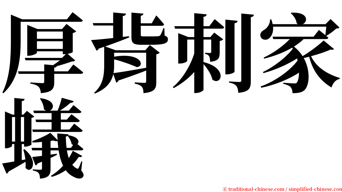 厚背刺家蟻 serif font