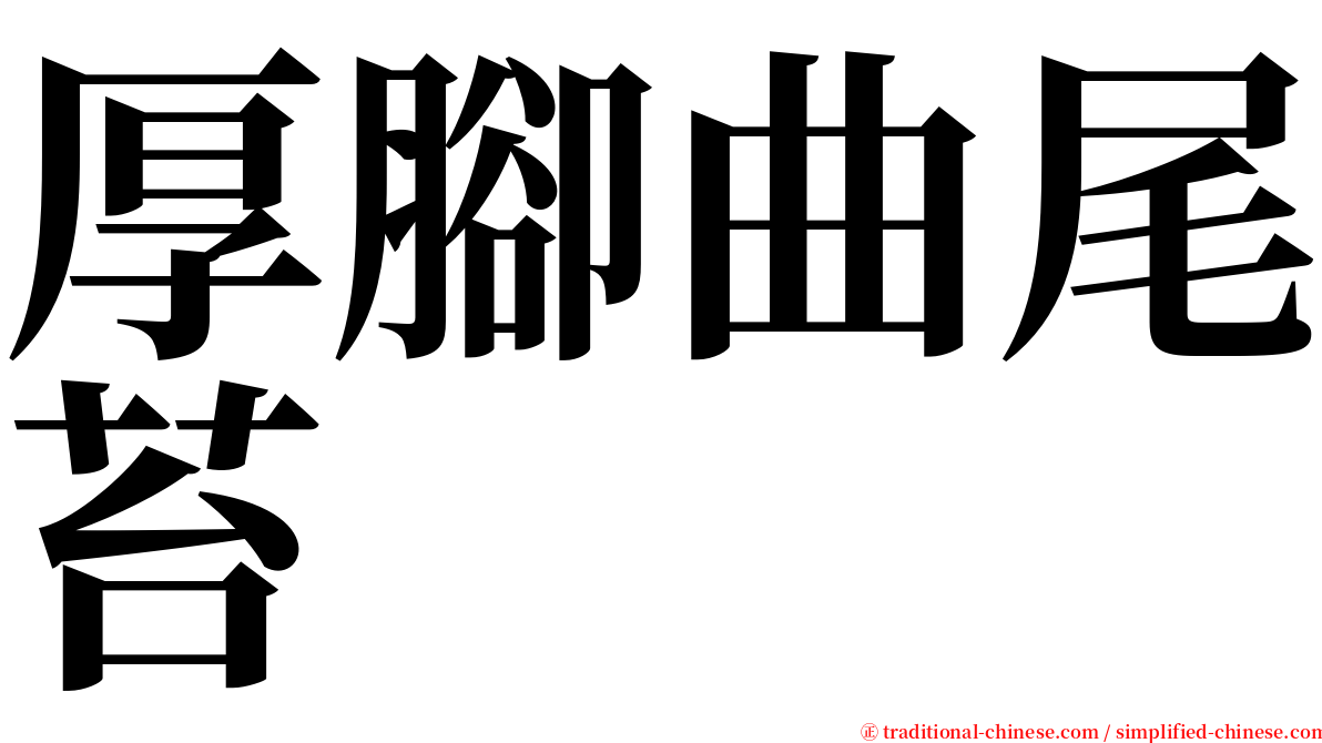 厚腳曲尾苔 serif font