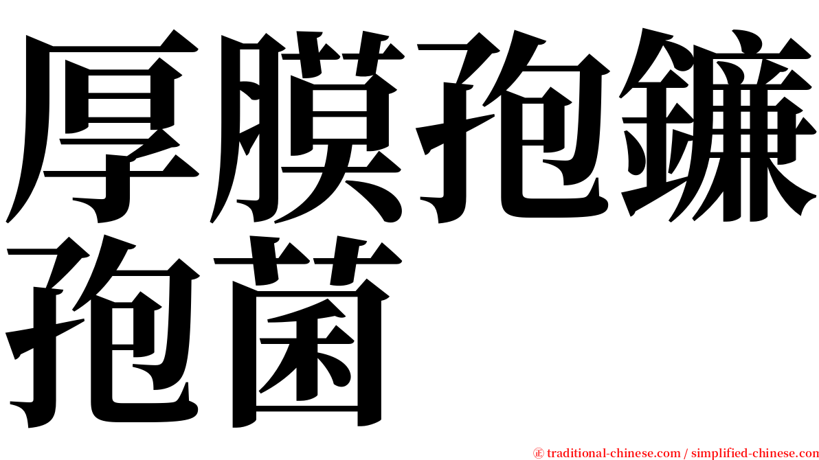 厚膜孢鐮孢菌 serif font