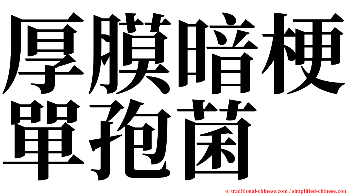 厚膜暗梗單孢菌 serif font